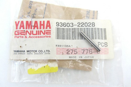 Dowel pin worm drive shaft - , oil
