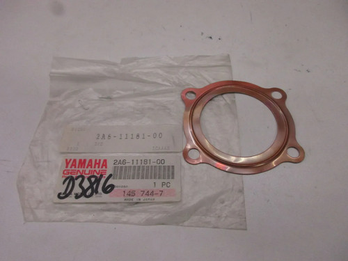 Seal 2a6 11181 - 2a6-11181-00, d3816